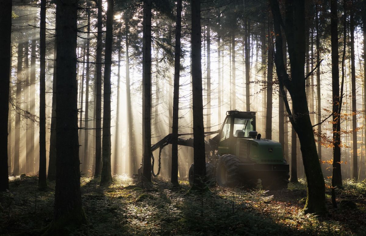 Harvester